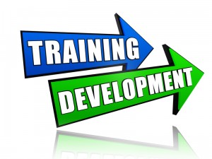 http://www.dreamstime.com/royalty-free-stock-image-training-development-arrows-image27336876